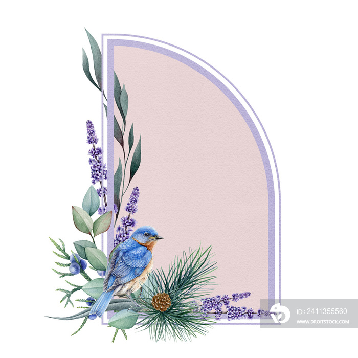 Floral winter frame with pink and lilac background. Hand drawn watercolor illustration decor with eastern bluebird and natural forest elements: eucalyptus,lavender, pine on white background