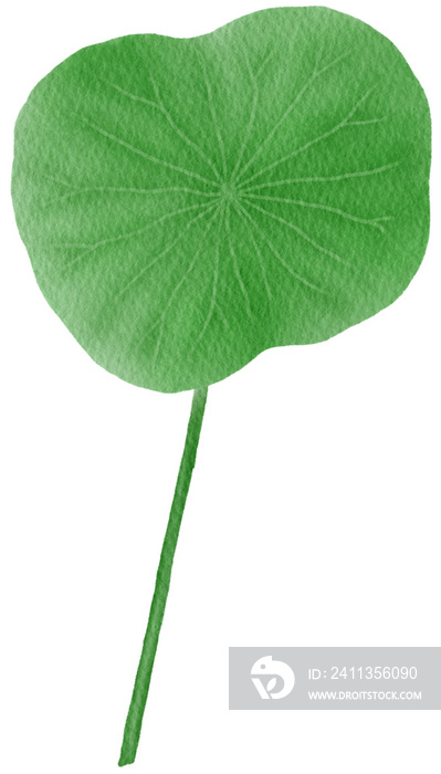 Lotus leaf watercolor
