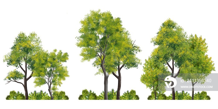 Collection of abstract watercolor green tree side view isolated on white background  for landscape and architecture layout drawing, elements for environment and garden