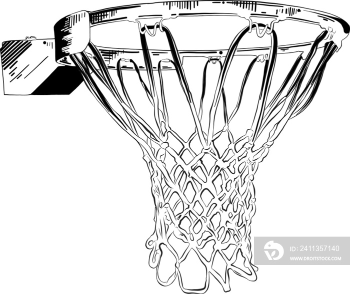 PNG engraved style illustration for posters, decoration and print. Hand drawn sketch of basketball ring in black isolated on white background. Detailed vintage etching style drawing.