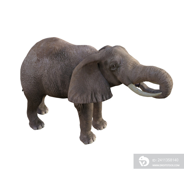 Illustration of an elephant in different poses and angles for collage or clip art. Pose number 1 isolated on white background. 3D rendering illustration.