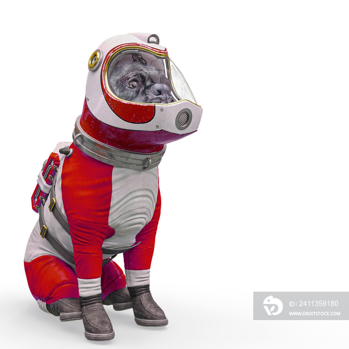 dog the astronaut sitting with a space copy in white background