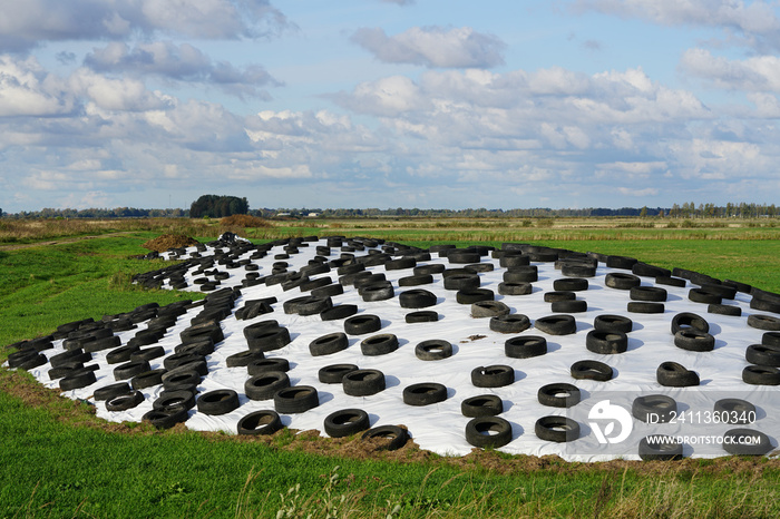 large pile of silage on field covered with plastic film and used tires