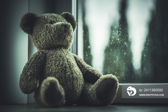 Teddy Bear Islolated From Missing Child.