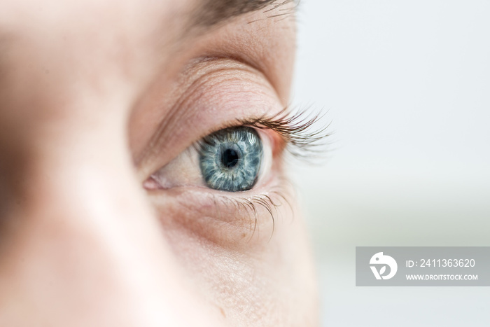 gray human eye, close-up