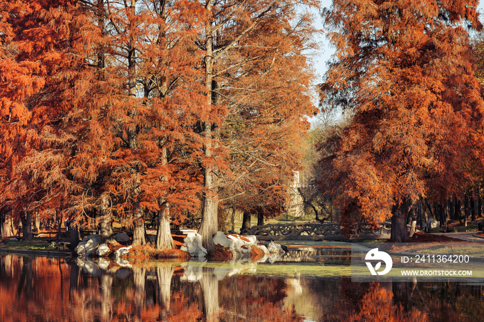 Autumn Landscape in the park from Craiova, Romania