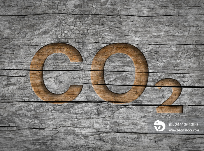 Co2 text in wood natural storage carbon dioxide emission