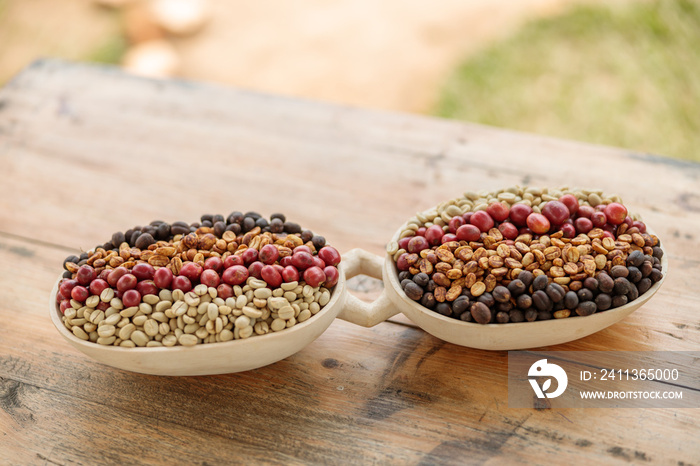 Close up of coffee beans of different processing processes in a wooden bowl