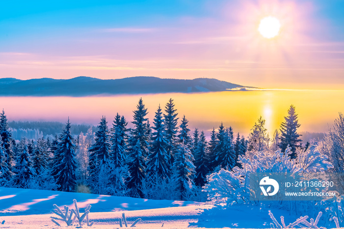 Sun halo effect in fog. Very cold January day in Sotkamo, Finland.