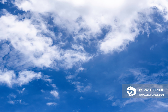 bright sky needle blue white cloud bottom