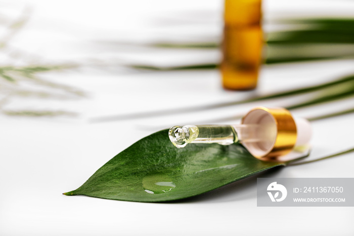 herbal medicine or cosmetics - oil dropping on the green leaf from dropper