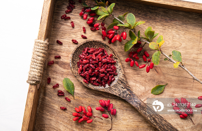 Pile of dried Berberis vulgaris also known as common barberry, European barberry or barberry on plate in home kicthen. Edible herbal medicinal red fruit plant.