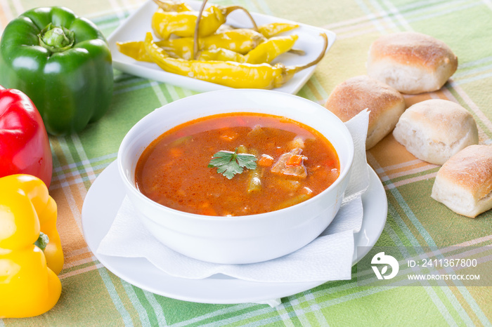 Close up of healthy vegetable soup with ingredients