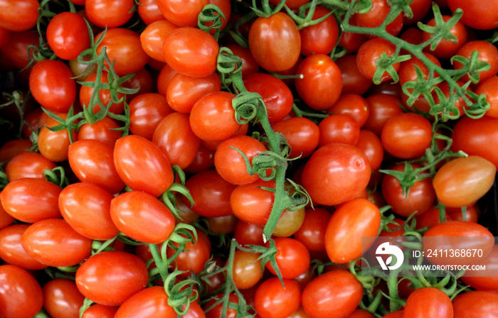 Small red italian tomatoes called Datterini, with branches and little leaves. Top view, food background