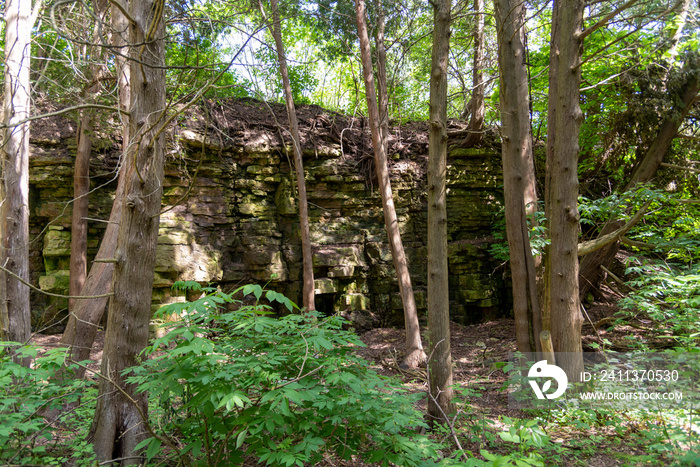 The Niagara Escarpment, Univ. of WI, Green Bay, Cofrom Arboretum, Green Bay, WI