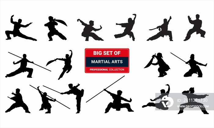 Big set of Martial art silhouette.