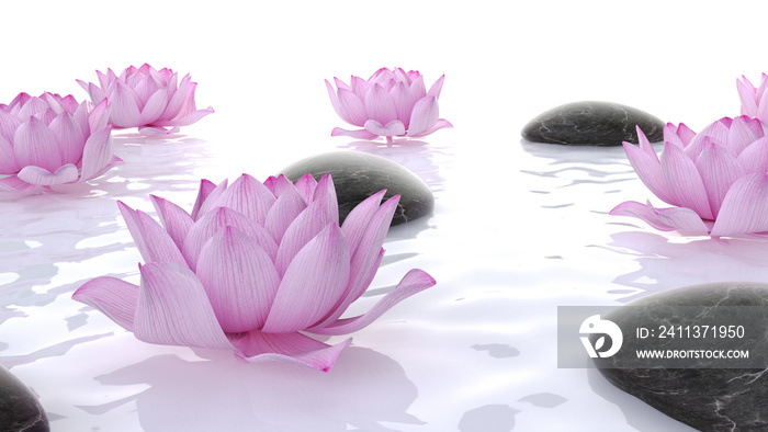 3d rendered spa illustration - lotus flowers and stones