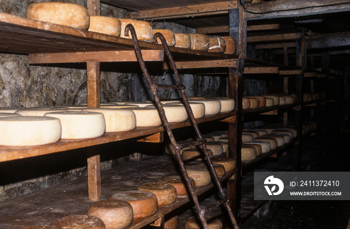 Cave a fromage, brebis, Ossau Iraty, 64 ,Pyrénées Atlantique, Pays basque, Béarn