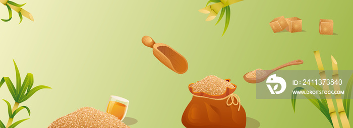 Sugar cane horizontal web banner. Brown granulated sugar in bag or spoon, cubes, stems and leaf, organic natural sweet food. Illustration for header website, cover templates in modern design