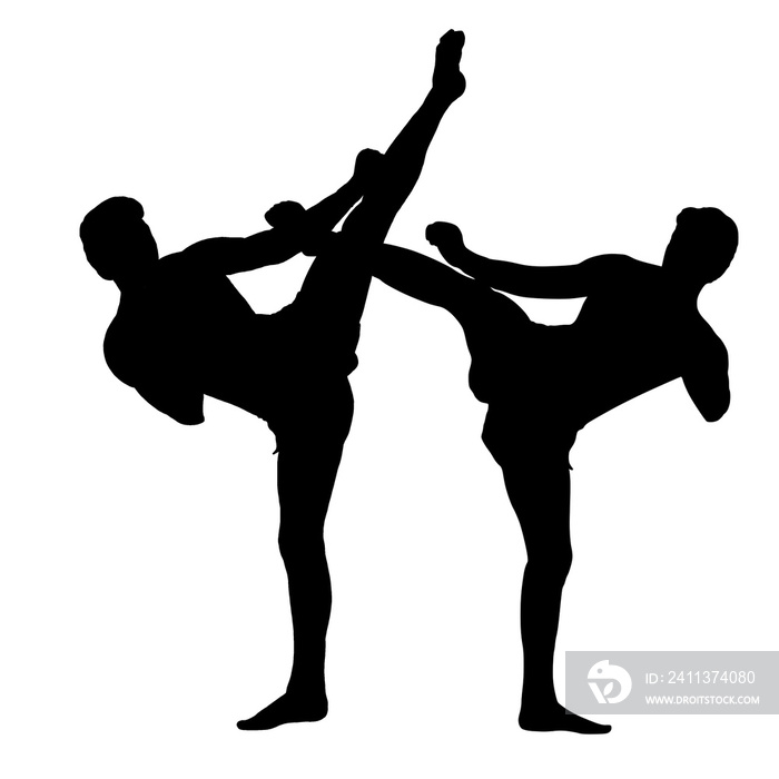 karate kick silhouette men fighting