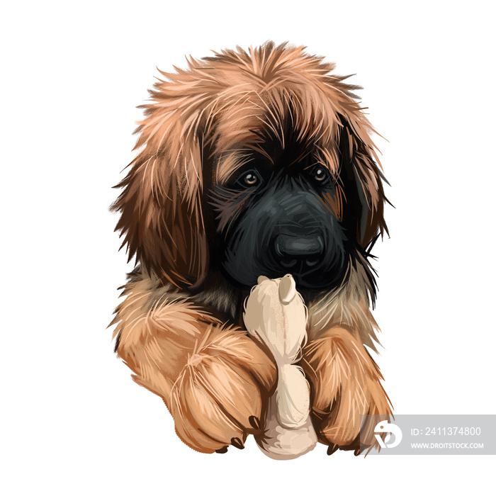 Leonberger puppy dog breed playing with toy digital art. German originated animal, domesticated mammal with playful mood. Giant purebred canis lupus, canine hound from Germany, watercolor portrait.