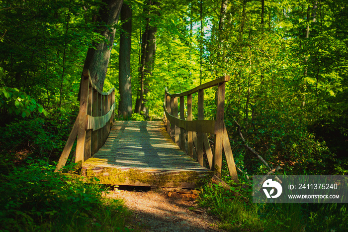 Holzbrücke im Wald.