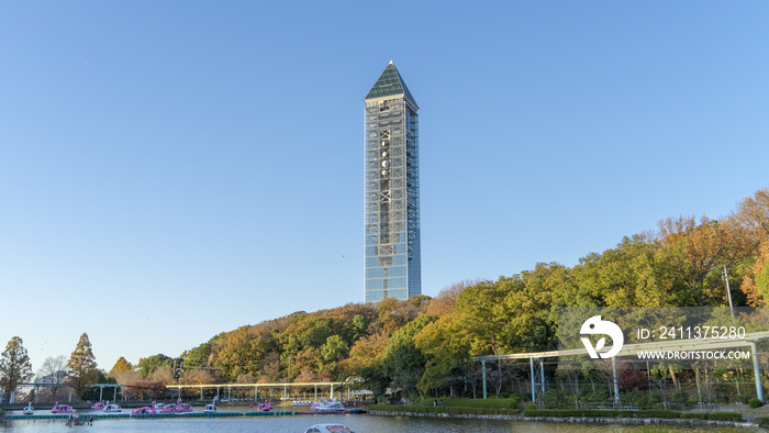 東山動植物園 風景 紅葉 動物