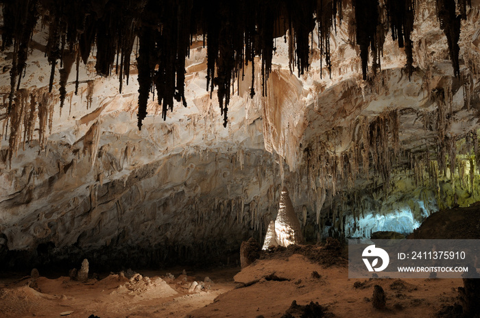 Carlsbad Caverns National Park, New Mexico, USA