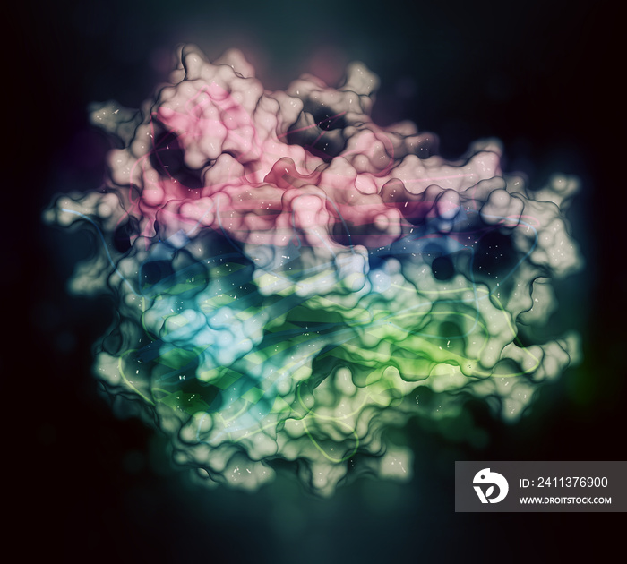 Tumor necrosis factor alpha (TNF) cytokine protein molecule.