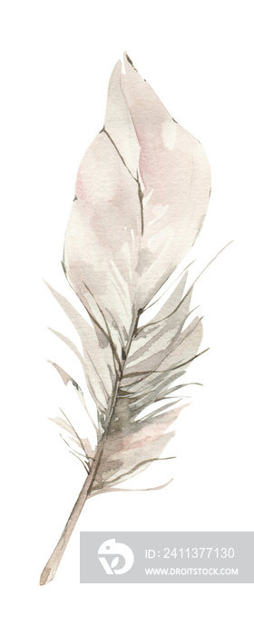 Watercolor feather clipart. Bohemian illustrations, soft png painting.