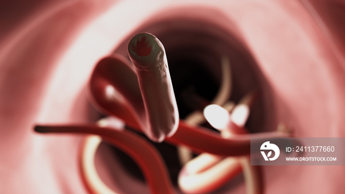 3d rendered medically accurate illustration of a hookworm