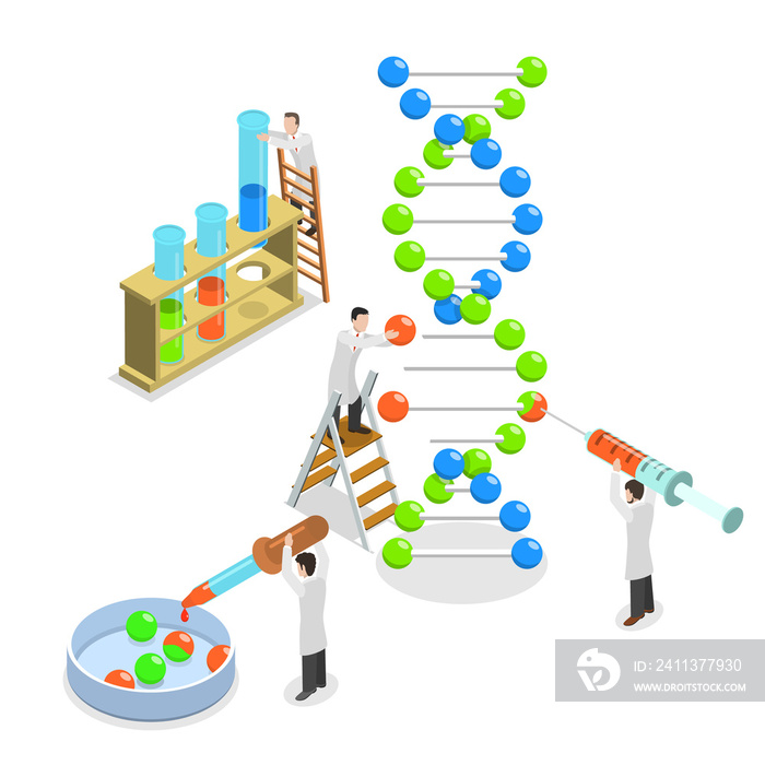 Genetic engineering isometric flat  concept.