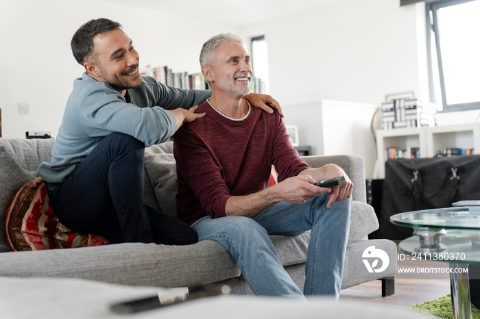 Smiling male couple watching TV at home