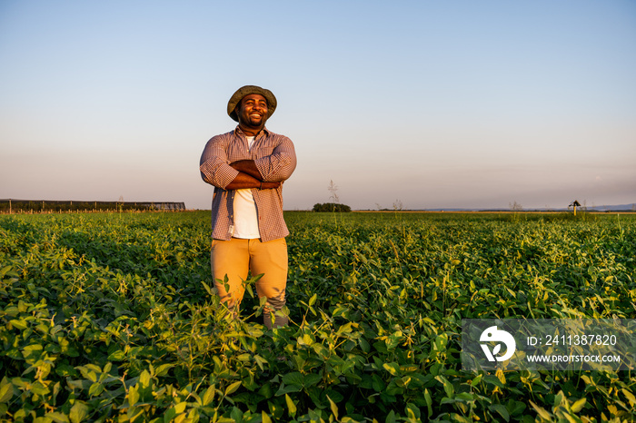 Farmer is standing in his growing soybean field. He is satisfied because of good progress of plants.