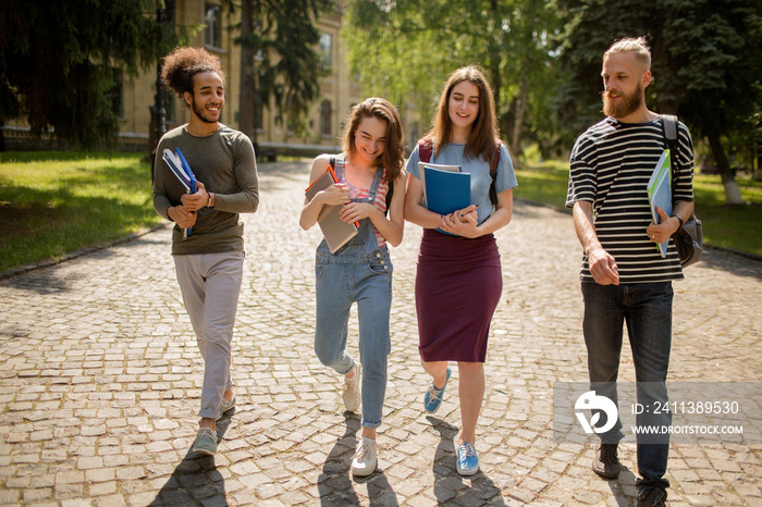 Multiethnic students walking on campus on sunny day. Young people talking, laughing while walking in university park.