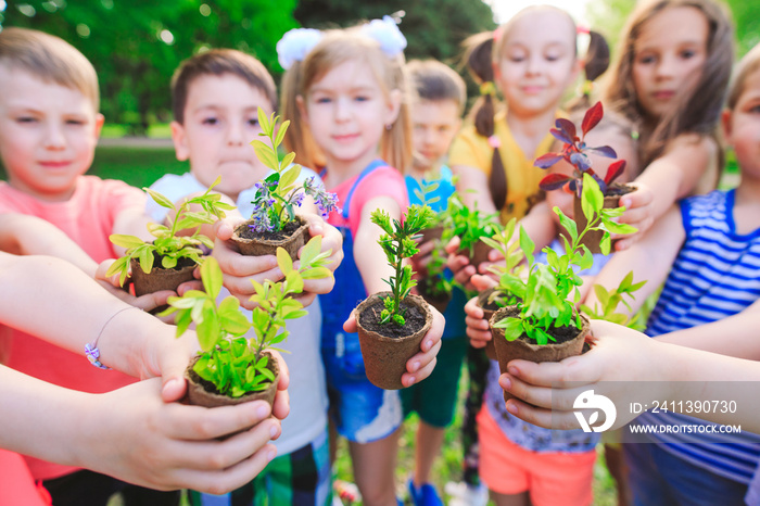 People Hands Cupping Plant Nurture Environmental