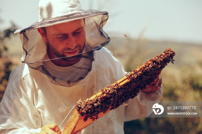 Beekeeper collecting honey