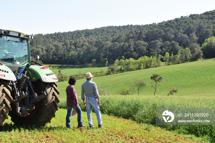 couple of farmers looking at a field