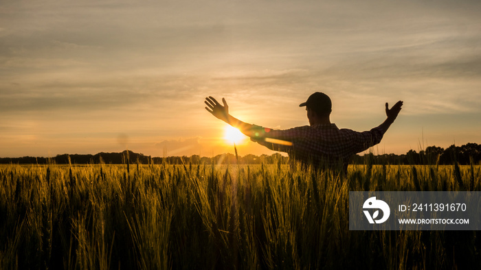 Farmer admires his wheat field, raised his hands up towards the sun