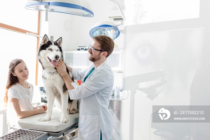 Photo of husky dog with cone being examined in Veterinary clinic