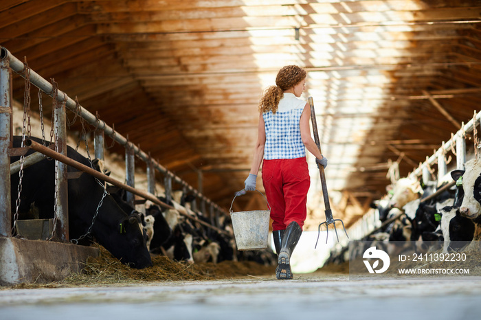 Rear view of one of farm workers with bucket and hayfork passing by stable with cows