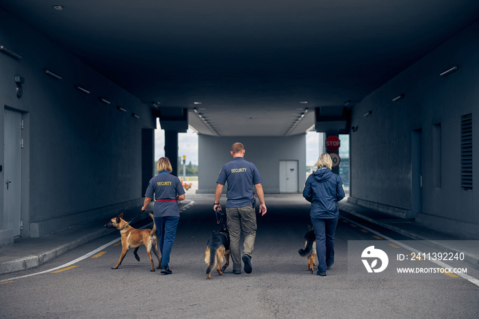 Three security guards walking on the road with dogs