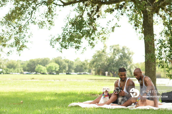 USA, Louisiana, Gay couple with dogs having picnic on lawn in park