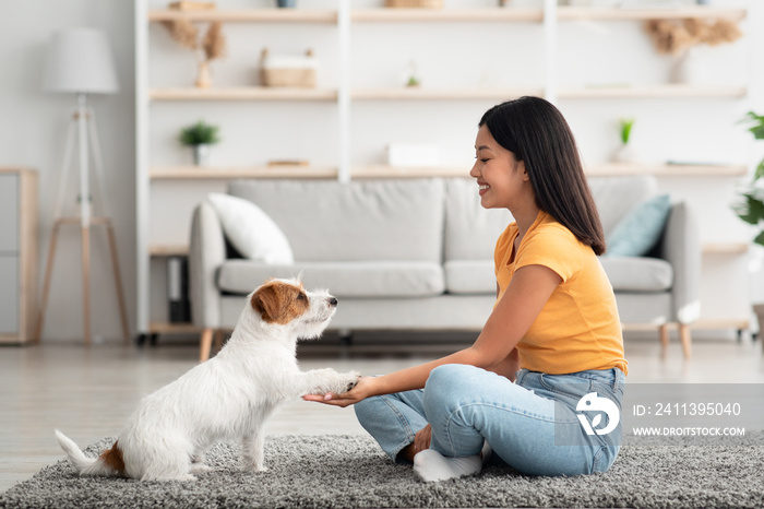 Joyful asian woman training her puppy to give paw