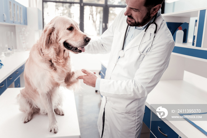 My patient. Competent doctor standing in semi position and holding paw of his patient while having stethoscope on the neck