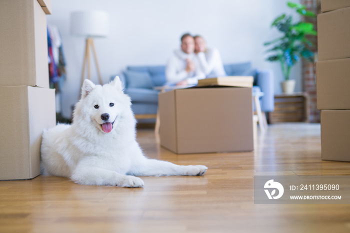 Young beautiful couple with dog sitting on the sofa at new home around cardboard boxes