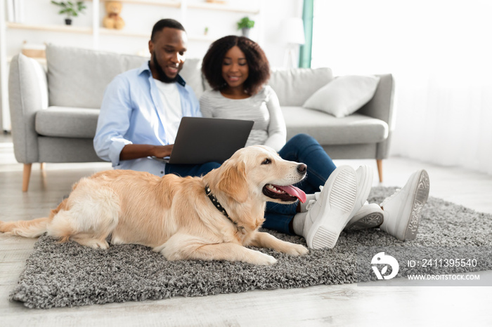 Black couple at home using laptop sitting with dog