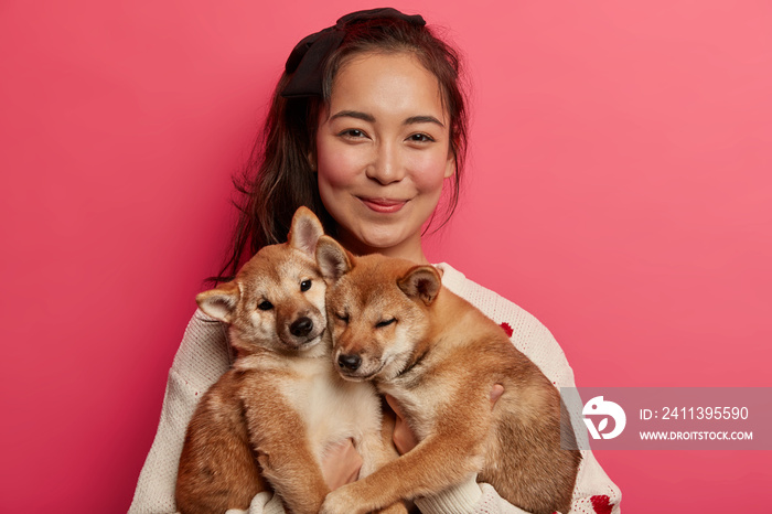 Pet lover and friendship with owner concept. Asian woman plays with two pedigree small dogs, enjoys spending free time with domestic animals, smiles pleasantly, isolated over vivid rosy background.