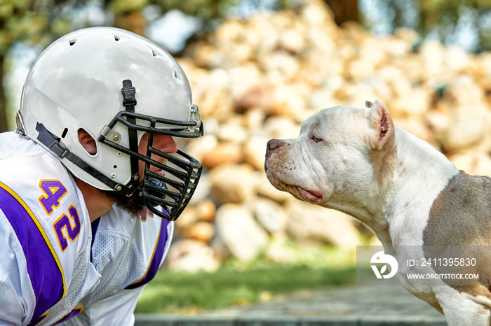 Face to face man and dog. An American football player in a helmet and uniform stands face to face with a fighting dog. Concept american football, sport for the protection of animals.