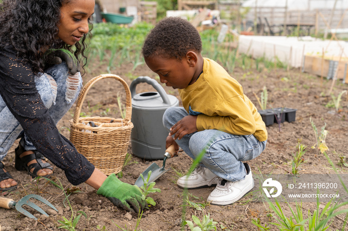 Mother and son gardening in allotment